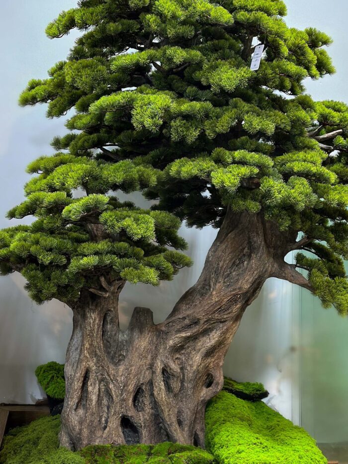 شجرة بونساي صناعية 9650